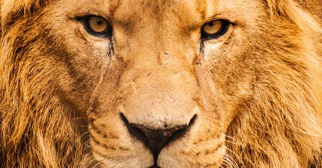 14650585_548513495341598_9015309669147932918_n